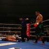 Hawaiian Punch Courtesy Mighty Mo; Hari Wins the Belt