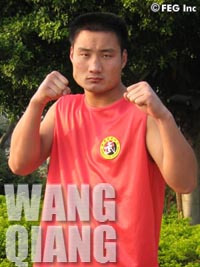 Qiang Wang